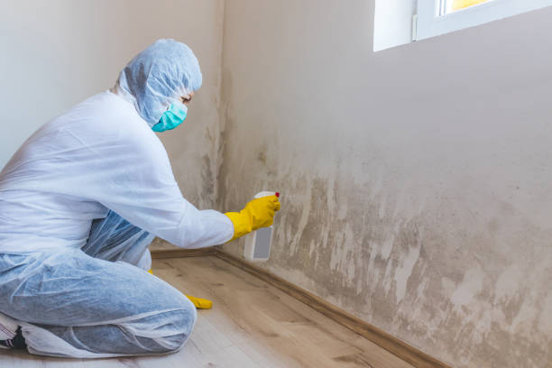 Licensed Commercial Mold Remediation service in East Brunswick, NJ - WQB Mold Removal