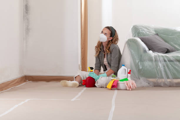 Reliable Commercial Mold Remediation contractor in East Brunswick, NJ by WQB Mold Removal